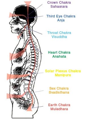 i0.wp.com_www.lifescriptdoctor.com_wp-content_uploads_2015_06_the-seven-chakras.jpg