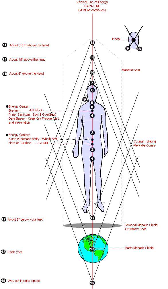 i2.wp.com_spiritual.com.au_wp-content_uploads_2013_02_the-15-chakras.jpg